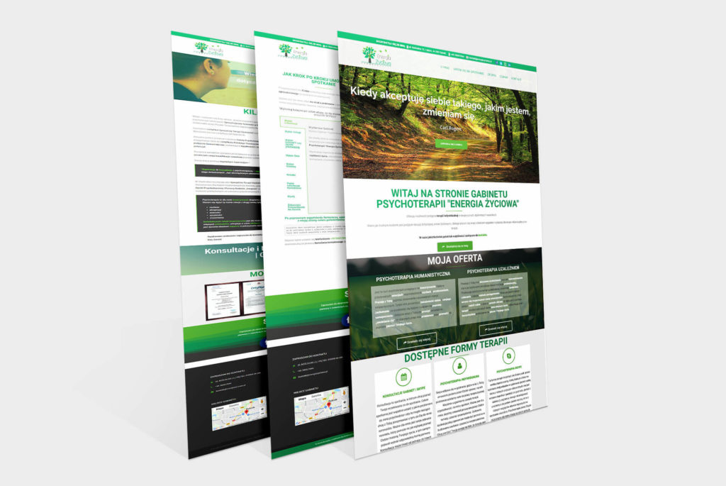 Oferta strony www Katowice 3 Portfolio-energia-zyciowa-Zestaw - strony www